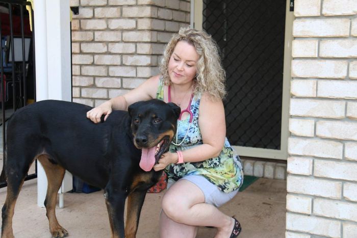 Krebstumore bei einem Hund "verschwinden" nach experimenteller Behandlung