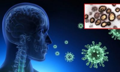 Aggressive Coronavirus-Mutation könnte Impfstoffe nutzlos machen
